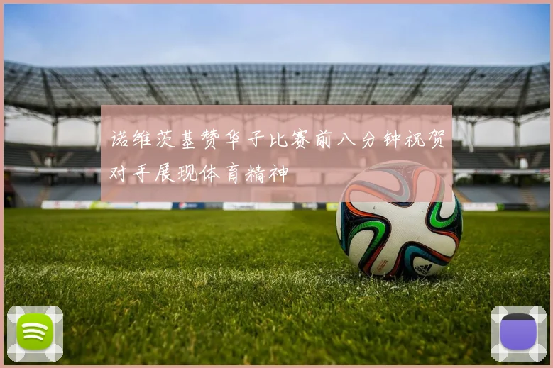 诺维茨基赞华子比赛前八分钟祝贺对手展现体育精神