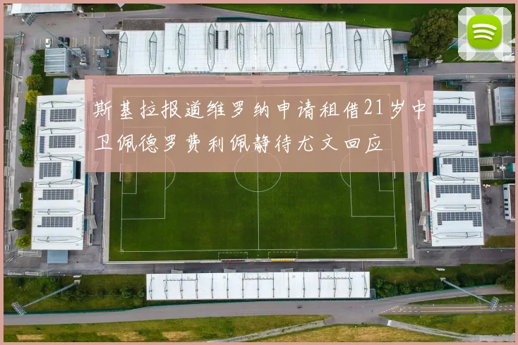 斯基拉报道维罗纳申请租借21岁中卫佩德罗费利佩静待尤文回应