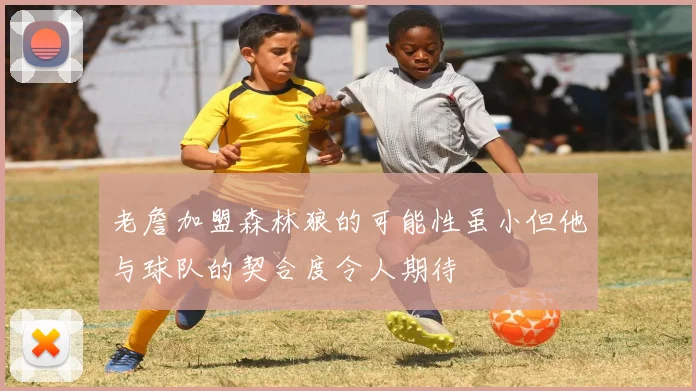 老詹加盟森林狼的可能性虽小但他与球队的契合度令人期待